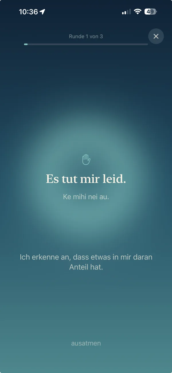 ReflexiO: geführte Runde 1 von 3 mit dem Satz „Es tut mir leid.“ und dem Hinweis, auszuatmen